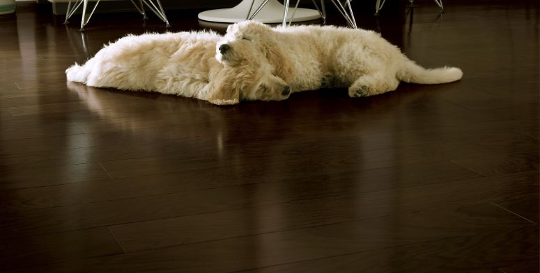 Flooring wooden flooring works in electronic city bangalore flooring contractors